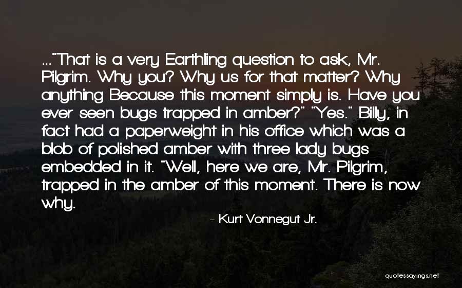 Why We Are Here Quotes By Kurt Vonnegut Jr. Why We Are Here Quotes By Kurt Vonnegut Jr.