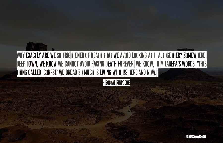 Why We Are Here Quotes By Sogyal Rinpoche Why We Are Here Quotes By Sogyal Rinpoche