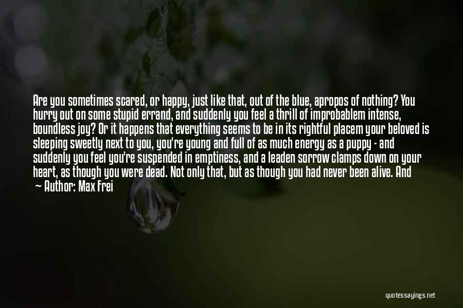 Why We Are Not Happy Quotes By Max Frei