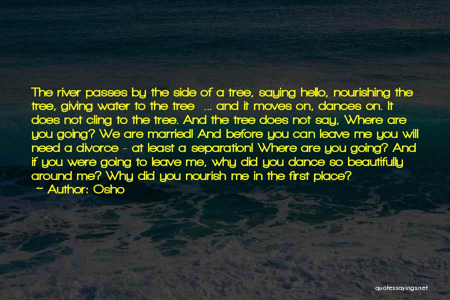 Why We Dance Quotes By Osho