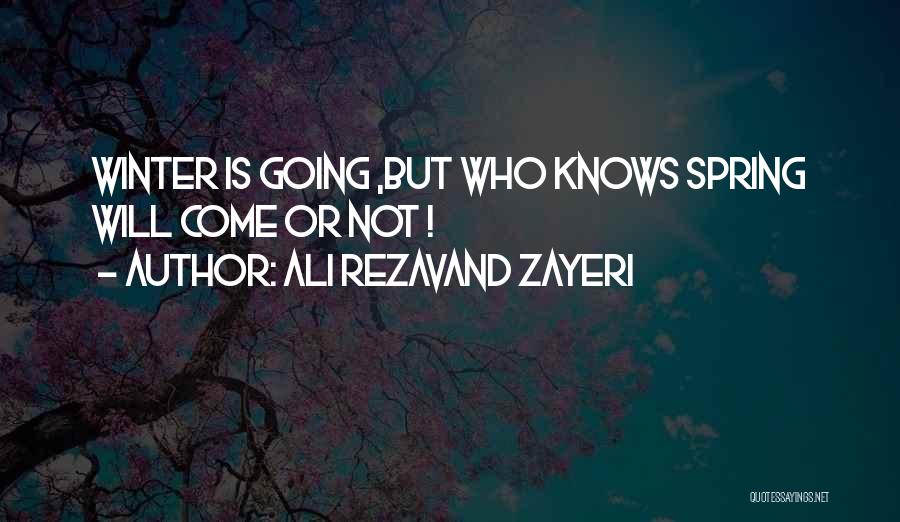 Why We Live Quotes By Ali Rezavand Zayeri