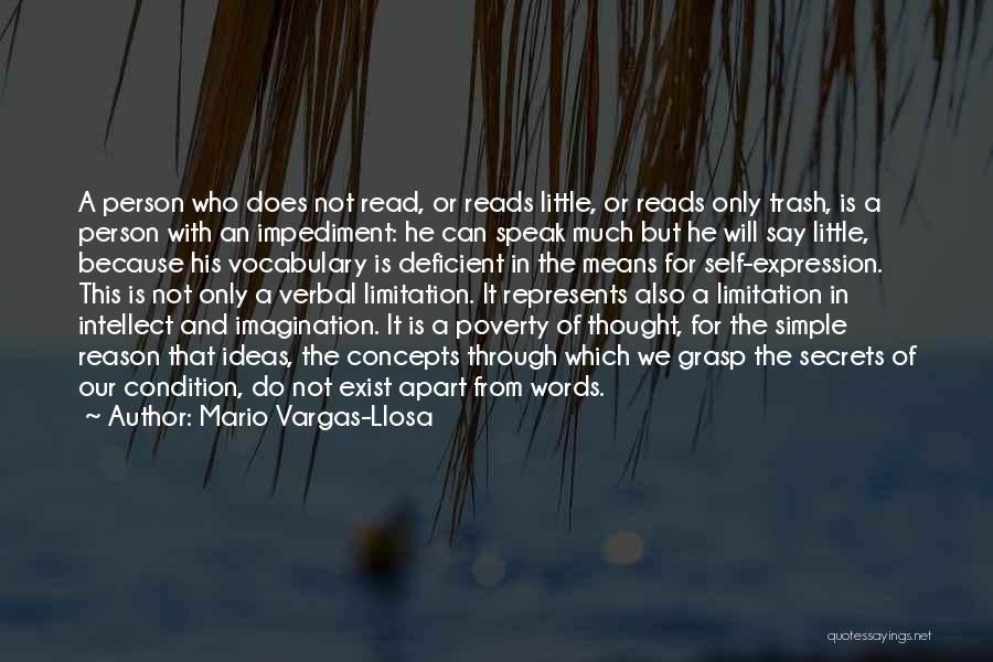 Why We Read Literature Quotes By Mario Vargas-Llosa