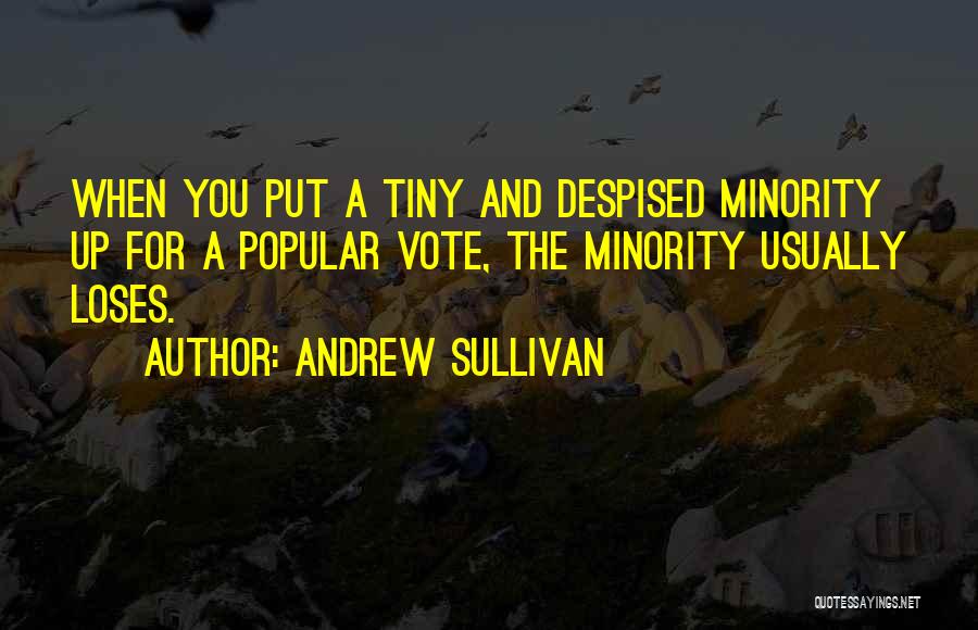 Why We Should Vote Quotes By Andrew Sullivan