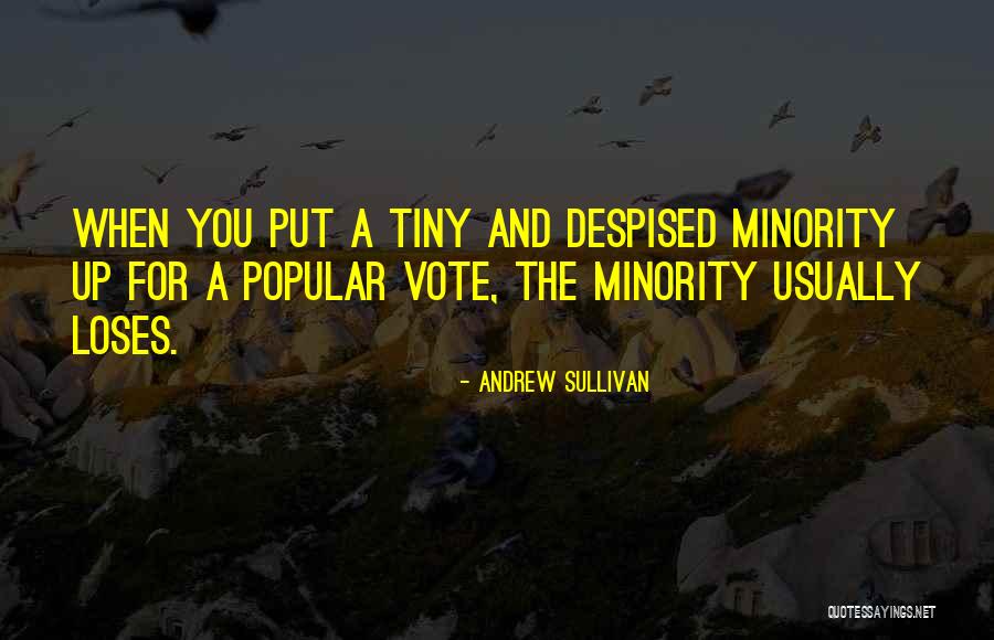 Why We Should Vote Quotes By Andrew Sullivan