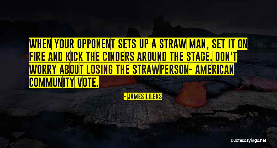 Why We Should Vote Quotes By James Lileks