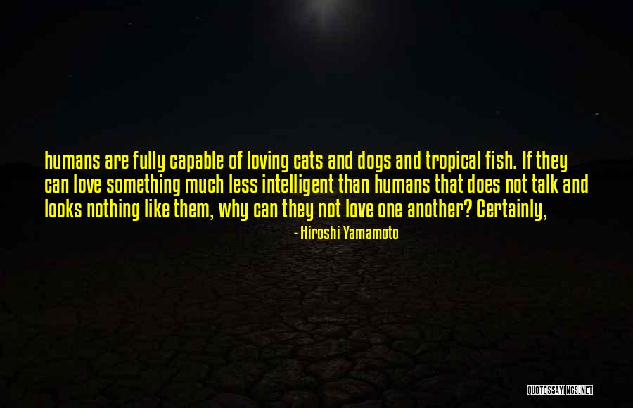 Why Why Why Why Why Quotes By Hiroshi Yamamoto Why Why Why Why Why Quotes By Hiroshi Yamamoto