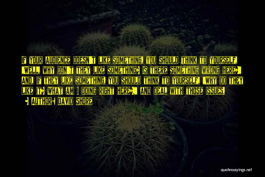 Why You Do Something Quotes By David Shore