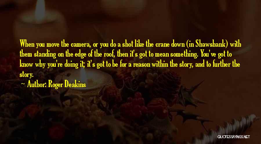 Why You Do Something Quotes By Roger Deakins