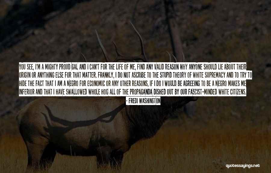 Why You Lie Quotes By Fredi Washington Why You Lie Quotes By Fredi Washington