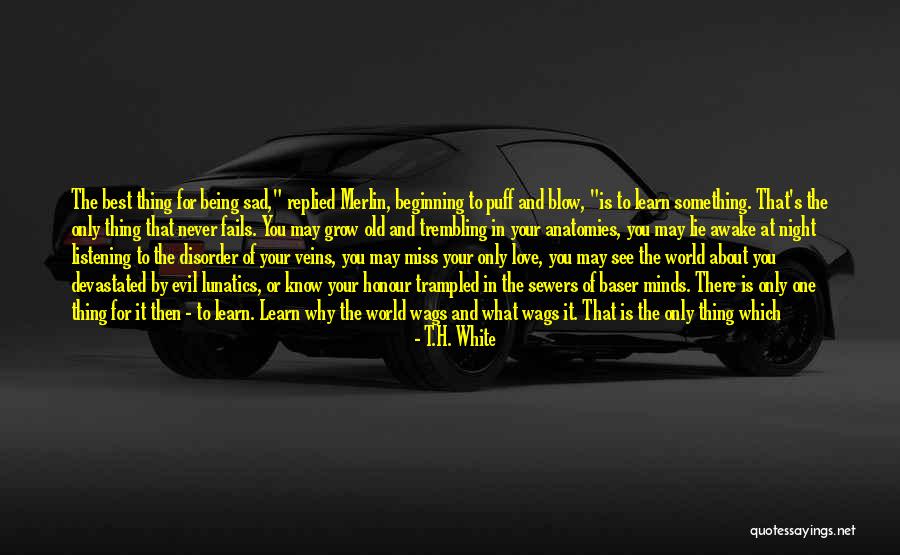 Why You Lie Quotes By T.H. White Why You Lie Quotes By T.H. White