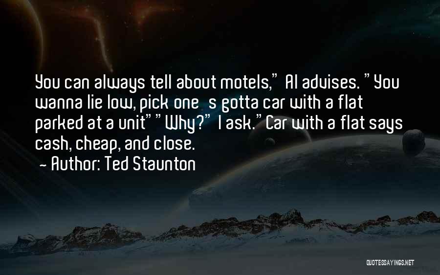 Why You Lie Quotes By Ted Staunton