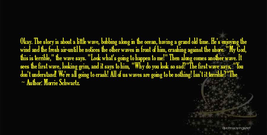 Why You Not Understand Me Quotes By Morrie Schwartz.