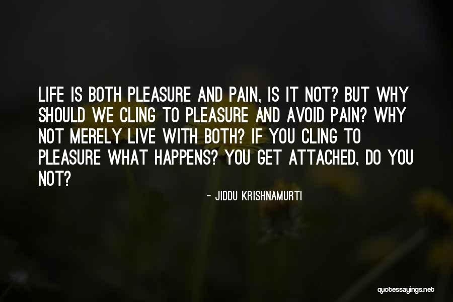 Why You Should Live Quotes By Jiddu Krishnamurti