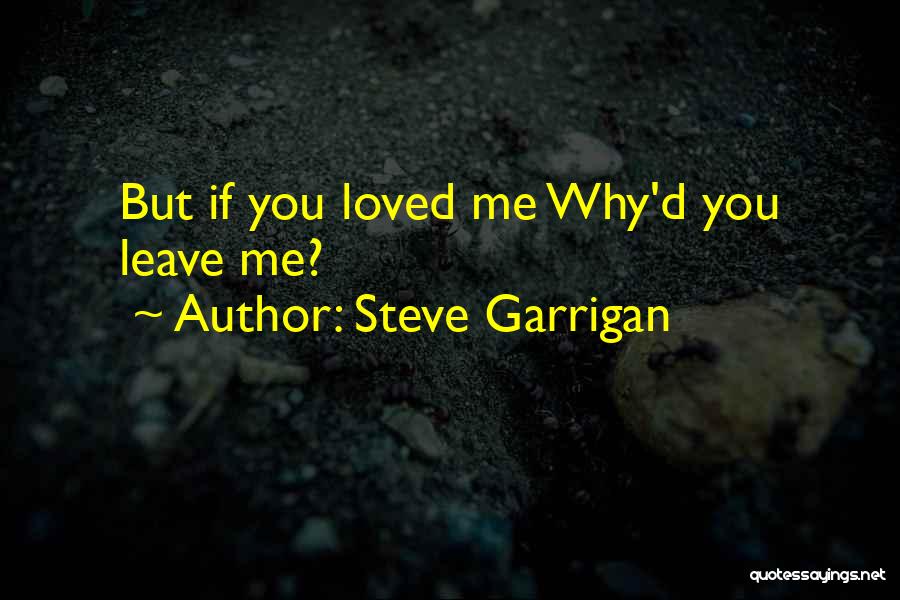 Why'd You Leave Quotes By Steve Garrigan