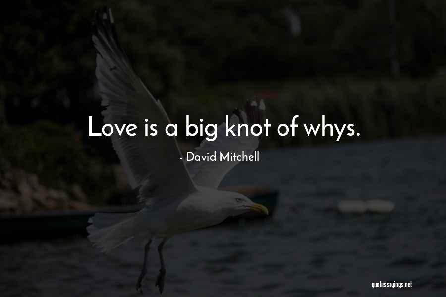 Whys Quotes By David Mitchell Whys Quotes By David Mitchell