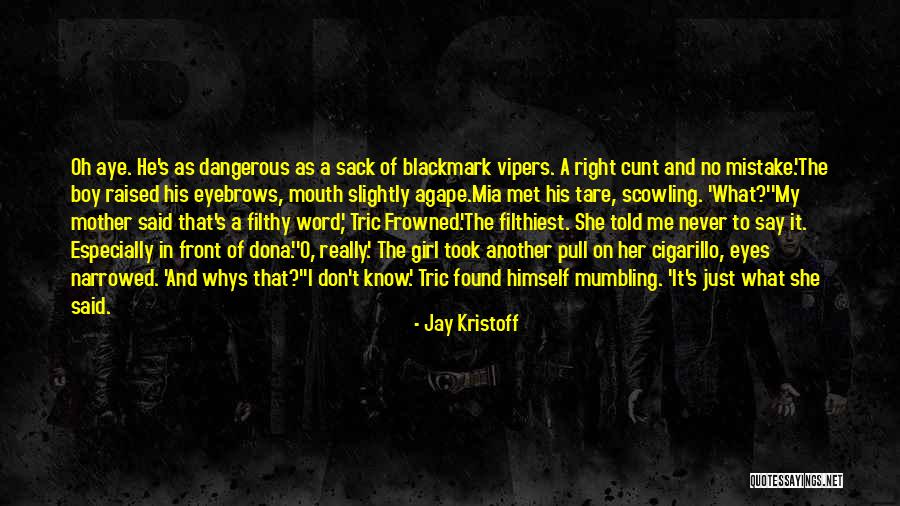 Whys Quotes By Jay Kristoff Whys Quotes By Jay Kristoff