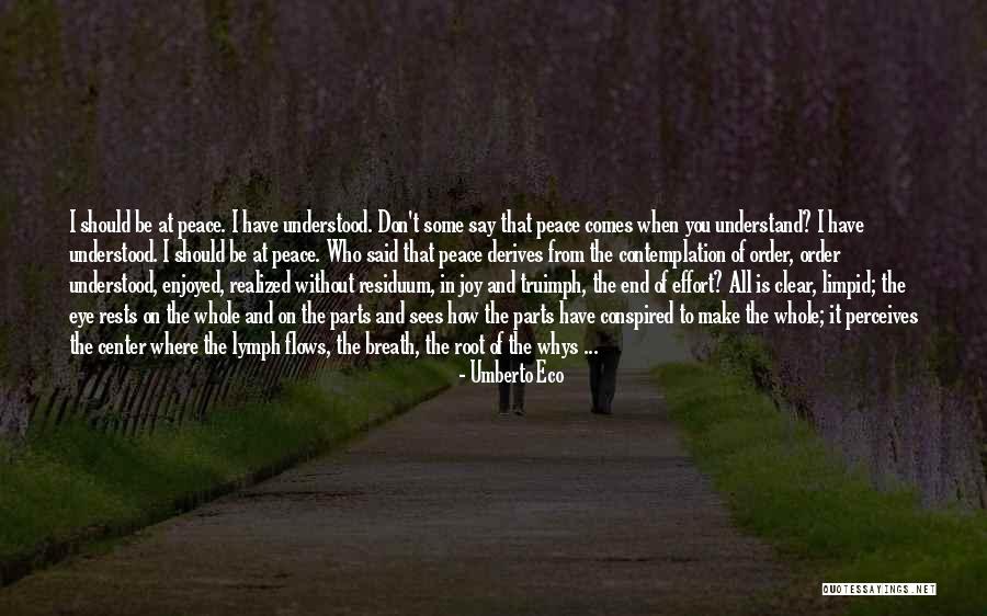 Whys Quotes By Umberto Eco Whys Quotes By Umberto Eco