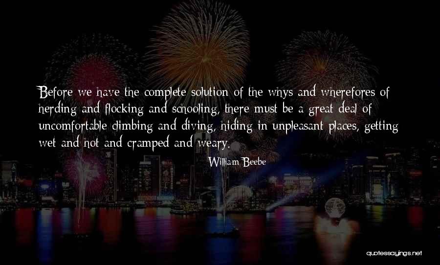 Whys Quotes By William Beebe Whys Quotes By William Beebe