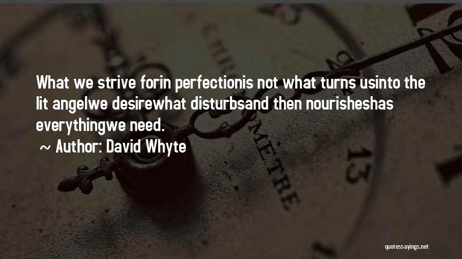 Whyte Quotes By David Whyte