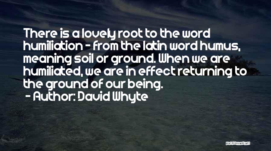 Whyte Quotes By David Whyte