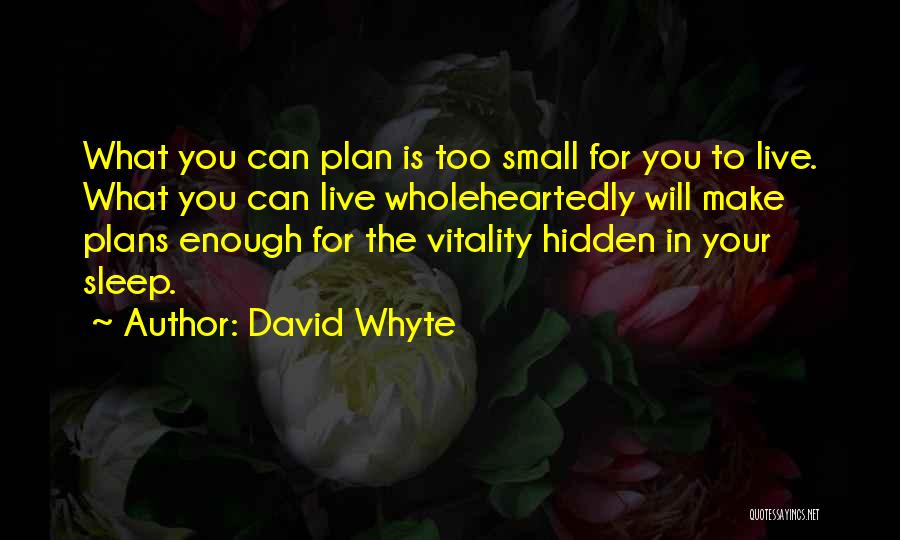 Whyte Quotes By David Whyte