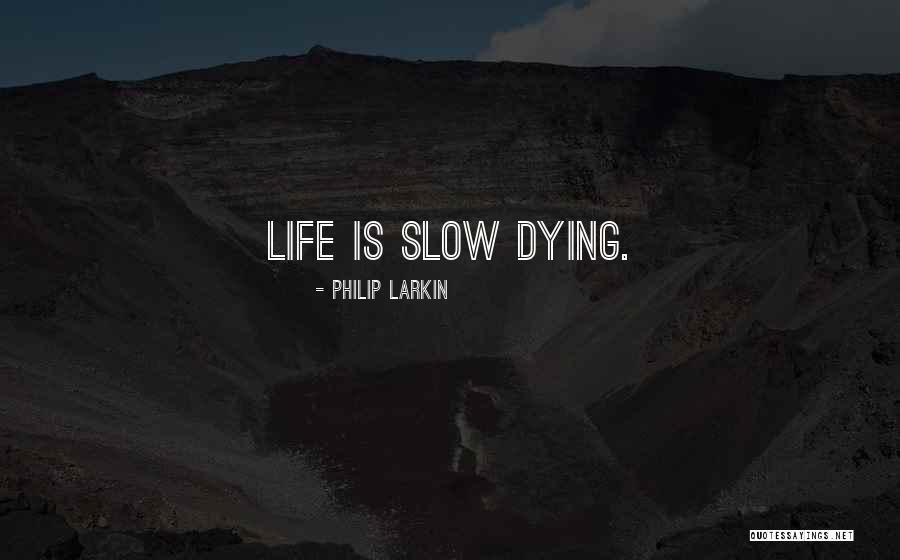 Wiatrak Minecraft Quotes By Philip Larkin Wiatrak Minecraft Quotes By Philip Larkin