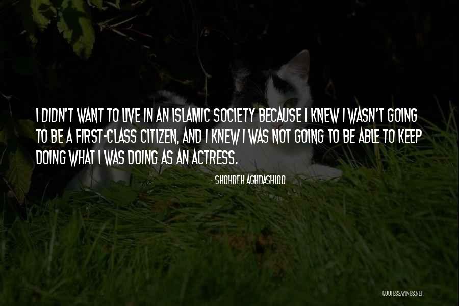 Wiatt Mite Quotes By Shohreh Aghdashloo Wiatt Mite Quotes By Shohreh Aghdashloo