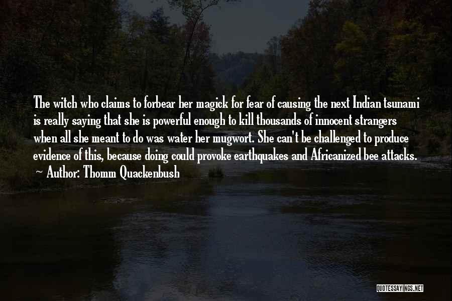 Wicca Witch Quotes By Thomm Quackenbush