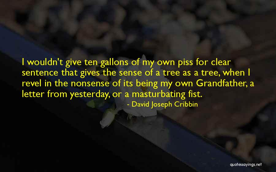 Wicket Star Quotes By David Joseph Cribbin Wicket Star Quotes By David Joseph Cribbin