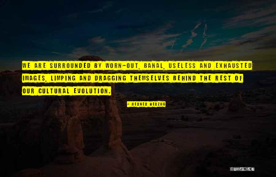 Wicklein Lantern Quotes By Werner Herzog Wicklein Lantern Quotes By Werner Herzog