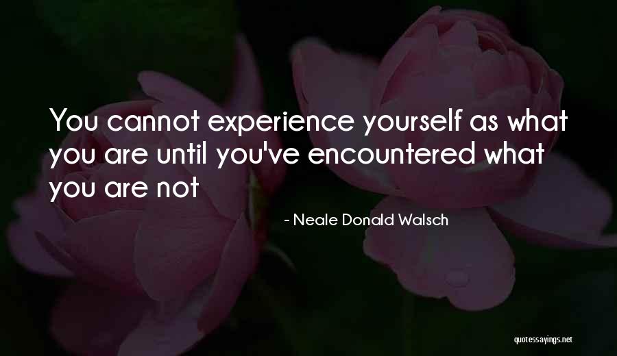 Widawski Magdalena Quotes By Neale Donald Walsch Widawski Magdalena Quotes By Neale Donald Walsch