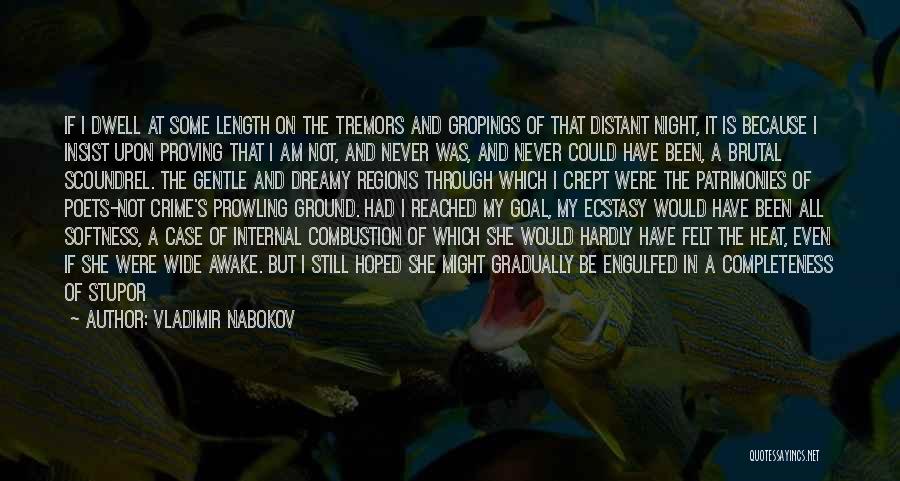 Wide Awake At Night Quotes By Vladimir Nabokov