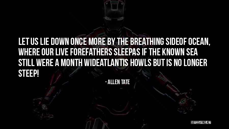 Wide Ocean Quotes By Allen Tate Wide Ocean Quotes By Allen Tate