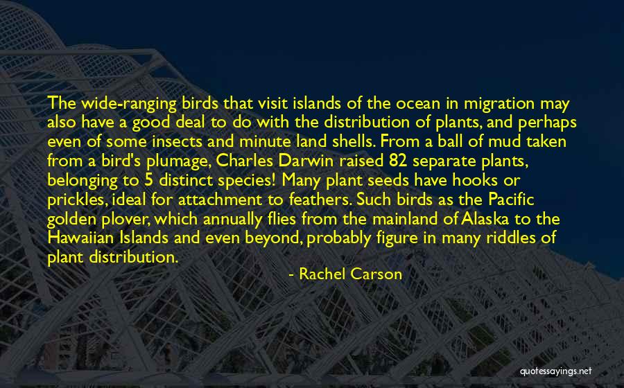 Wide Ocean Quotes By Rachel Carson Wide Ocean Quotes By Rachel Carson
