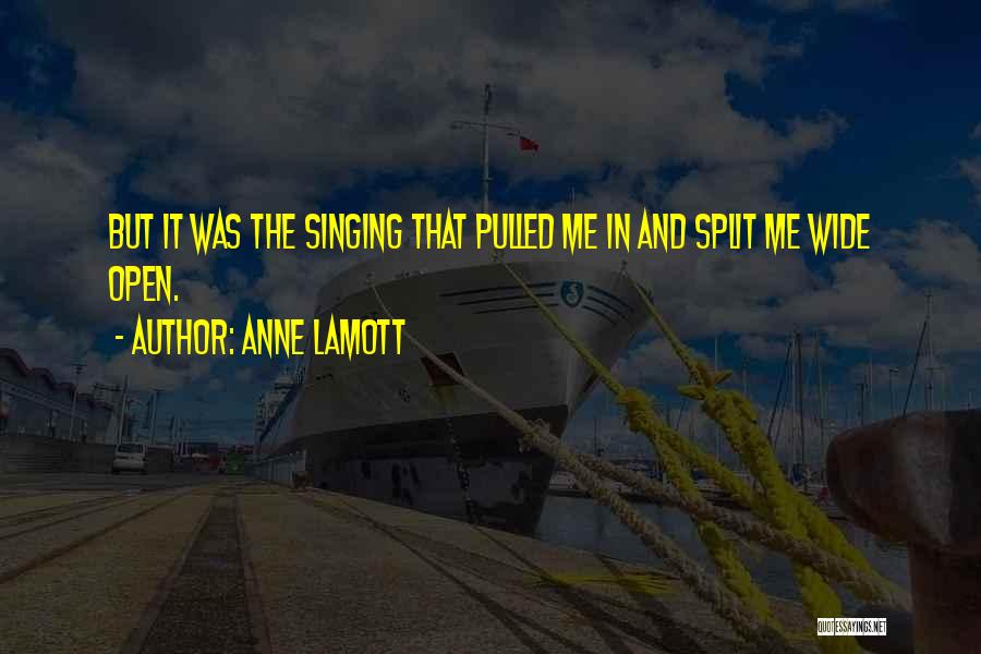 Wide Open Quotes By Anne Lamott