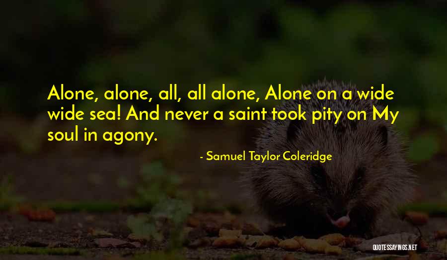 Wide Quotes By Samuel Taylor Coleridge