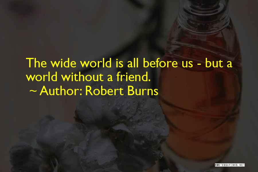 Wide World Quotes By Robert Burns