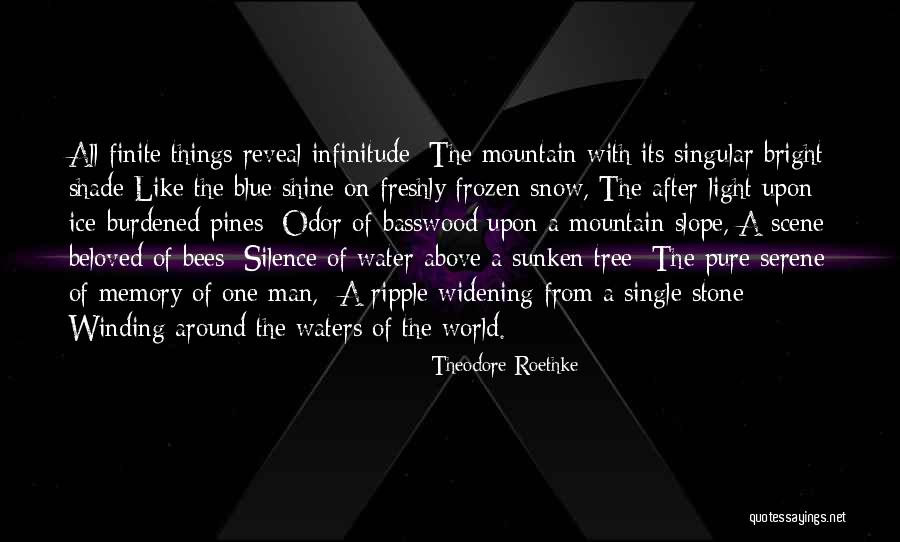 Widening Quotes By Theodore Roethke Widening Quotes By Theodore Roethke