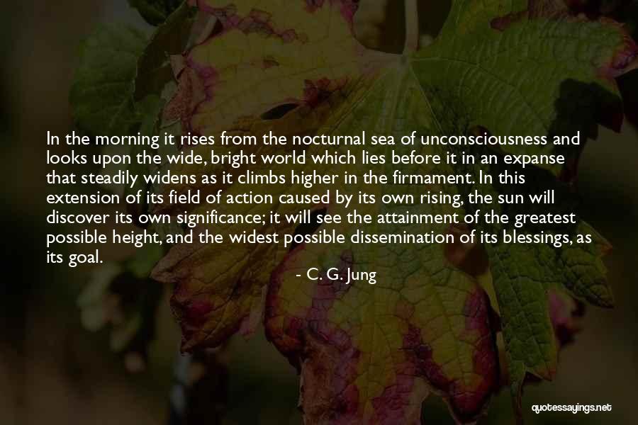 Widens Quotes By C. G. Jung Widens Quotes By C. G. Jung
