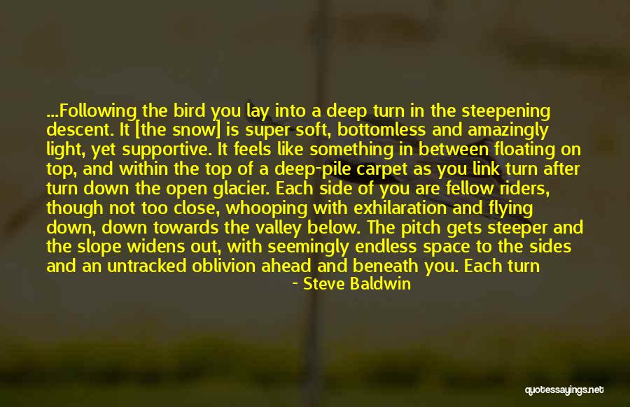 Widens Quotes By Steve Baldwin Widens Quotes By Steve Baldwin