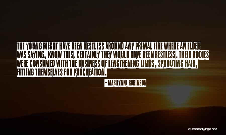 Widick Marketing Quotes By Marilynne Robinson Widick Marketing Quotes By Marilynne Robinson