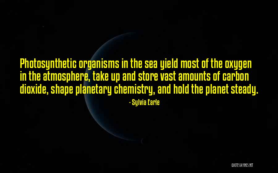 Widline Cadet Quotes By Sylvia Earle Widline Cadet Quotes By Sylvia Earle