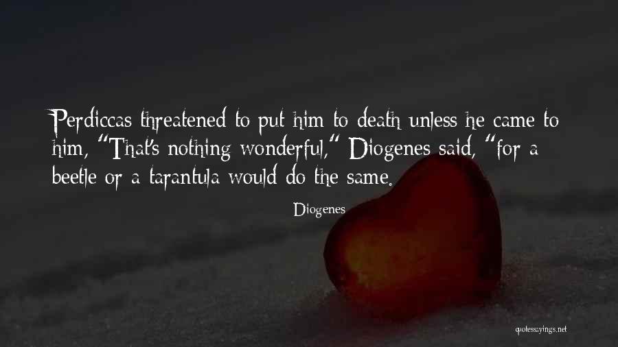 Widowhood Death Quotes By Diogenes Widowhood Death Quotes By Diogenes