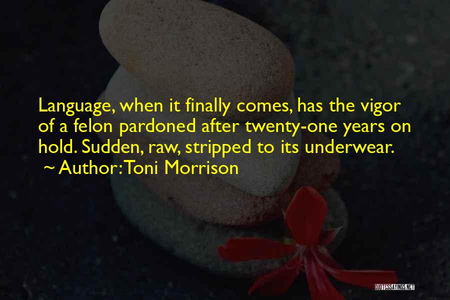 Wiebke Willebrandt Quotes By Toni Morrison