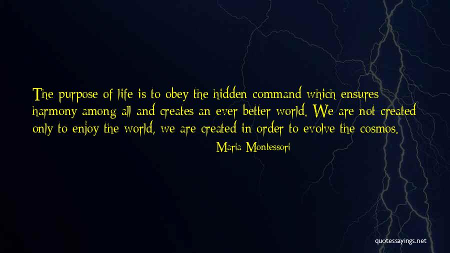 Wiedenfeld Ken Quotes By Maria Montessori Wiedenfeld Ken Quotes By Maria Montessori