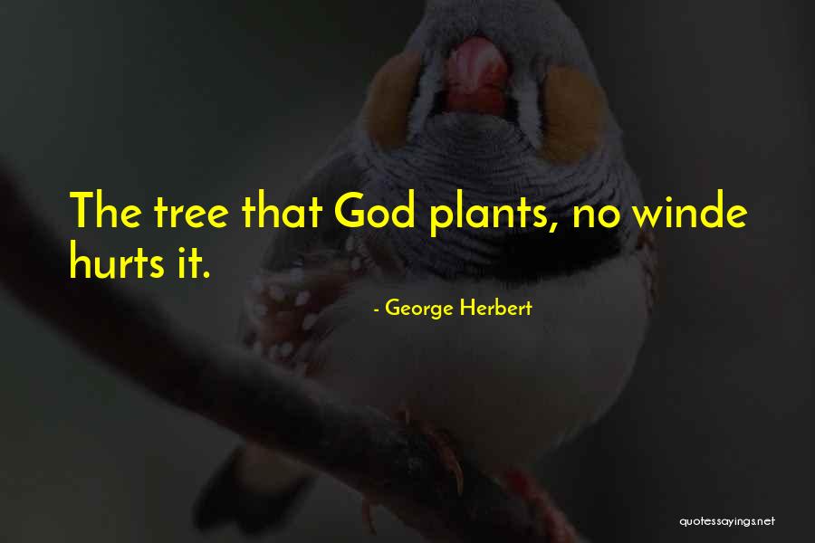 Wiedenmann North Quotes By George Herbert Wiedenmann North Quotes By George Herbert
