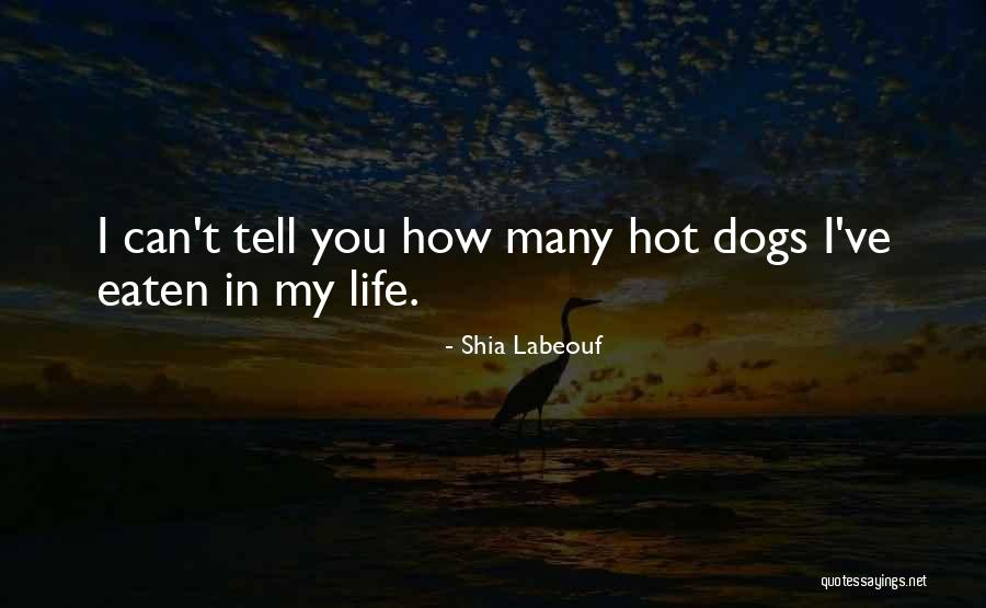 Wiederseim Auction Quotes By Shia Labeouf Wiederseim Auction Quotes By Shia Labeouf