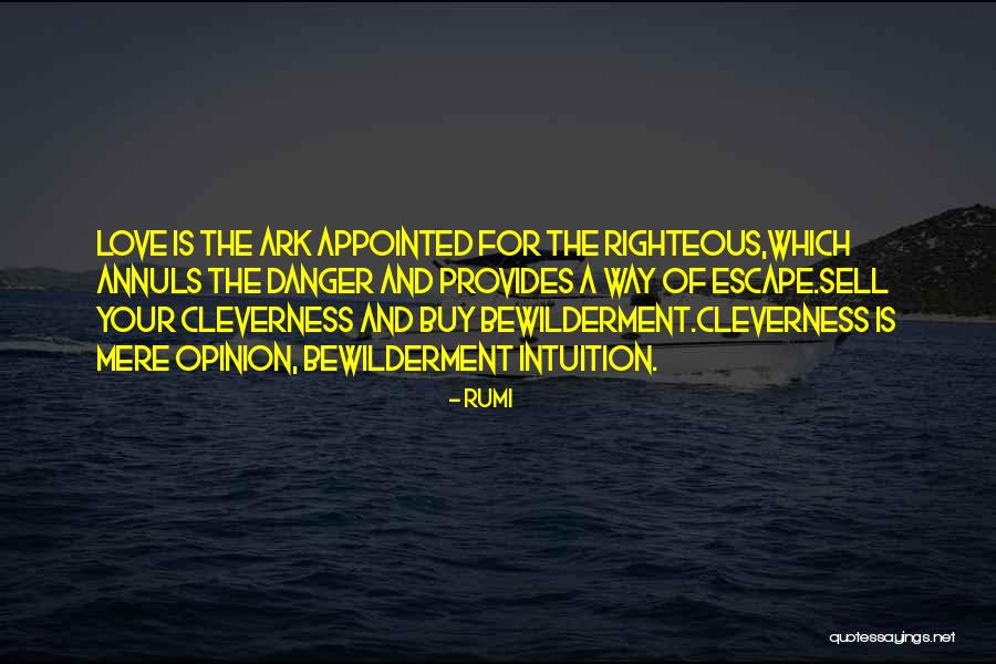 Wiedner Cpa Quotes By Rumi Wiedner Cpa Quotes By Rumi
