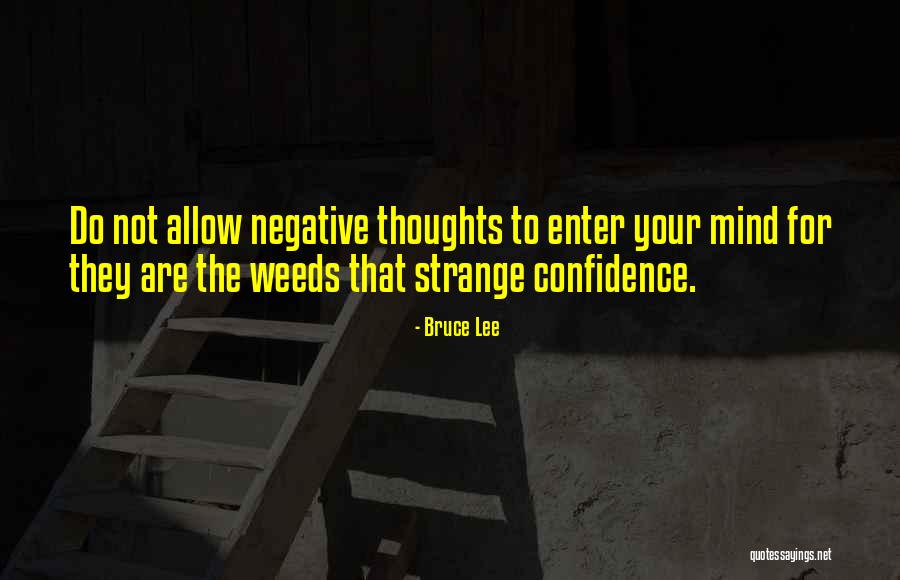 Wieniawa Oops Quotes By Bruce Lee Wieniawa Oops Quotes By Bruce Lee