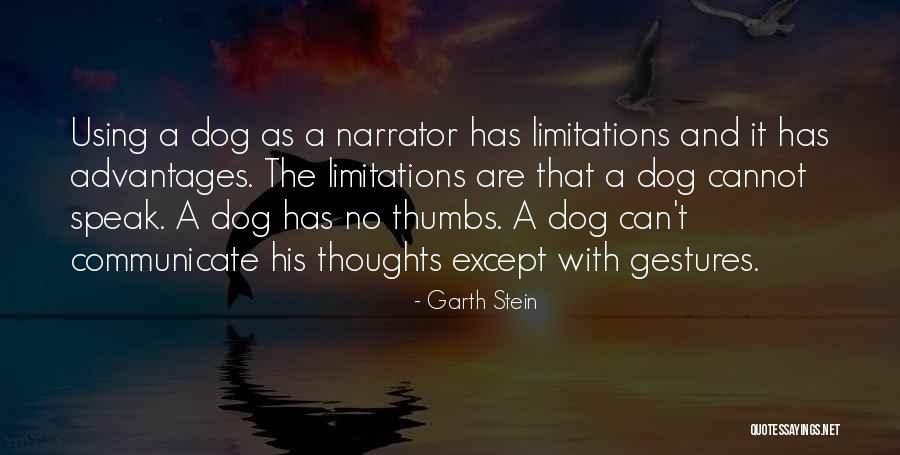Wieringen Quotes By Garth Stein Wieringen Quotes By Garth Stein